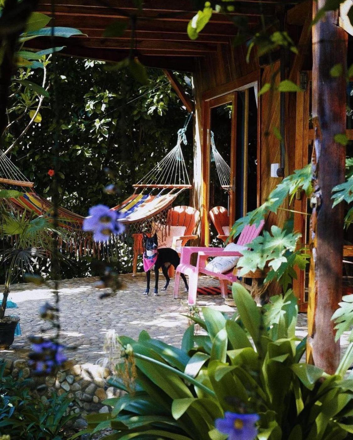 Vistamar Guest House Ayampe Exterior foto